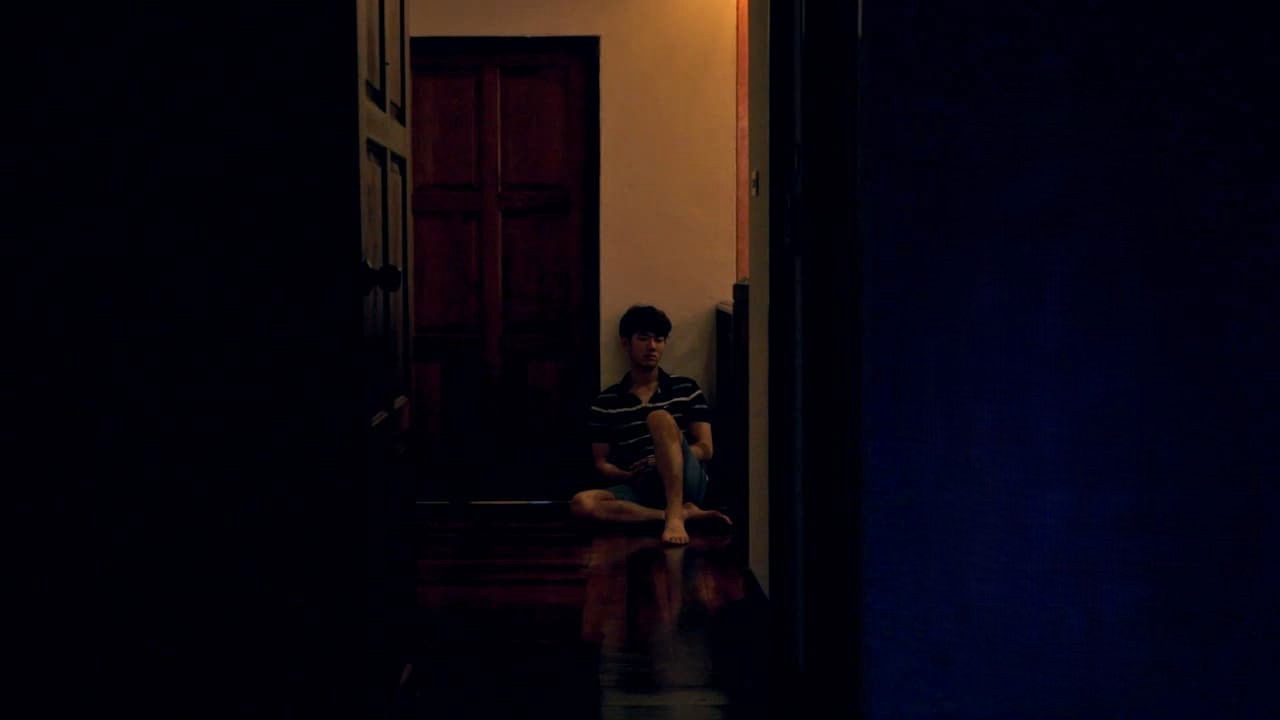 Tropical Night / Tropical Night (2017)