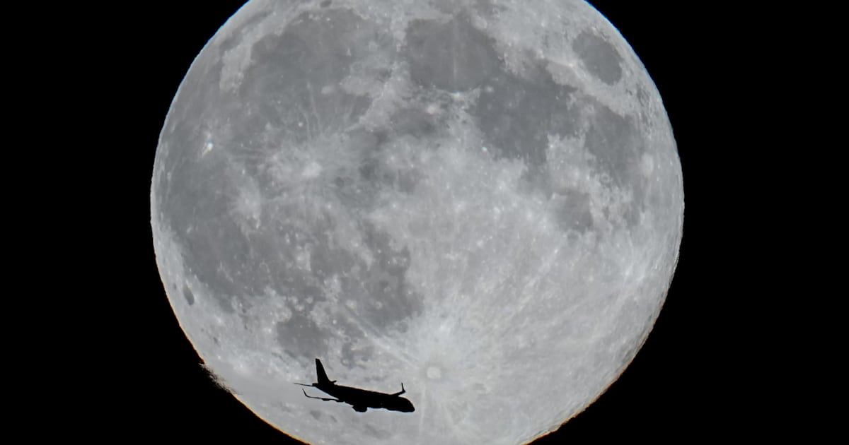 Xem Phim Tiệc Quái thú dưới ánh trăng, Beasts Under the Moon 2003 Xem Phim Tiệc Quái thú dưới ánh trăng, Beasts Under the Moon 2003