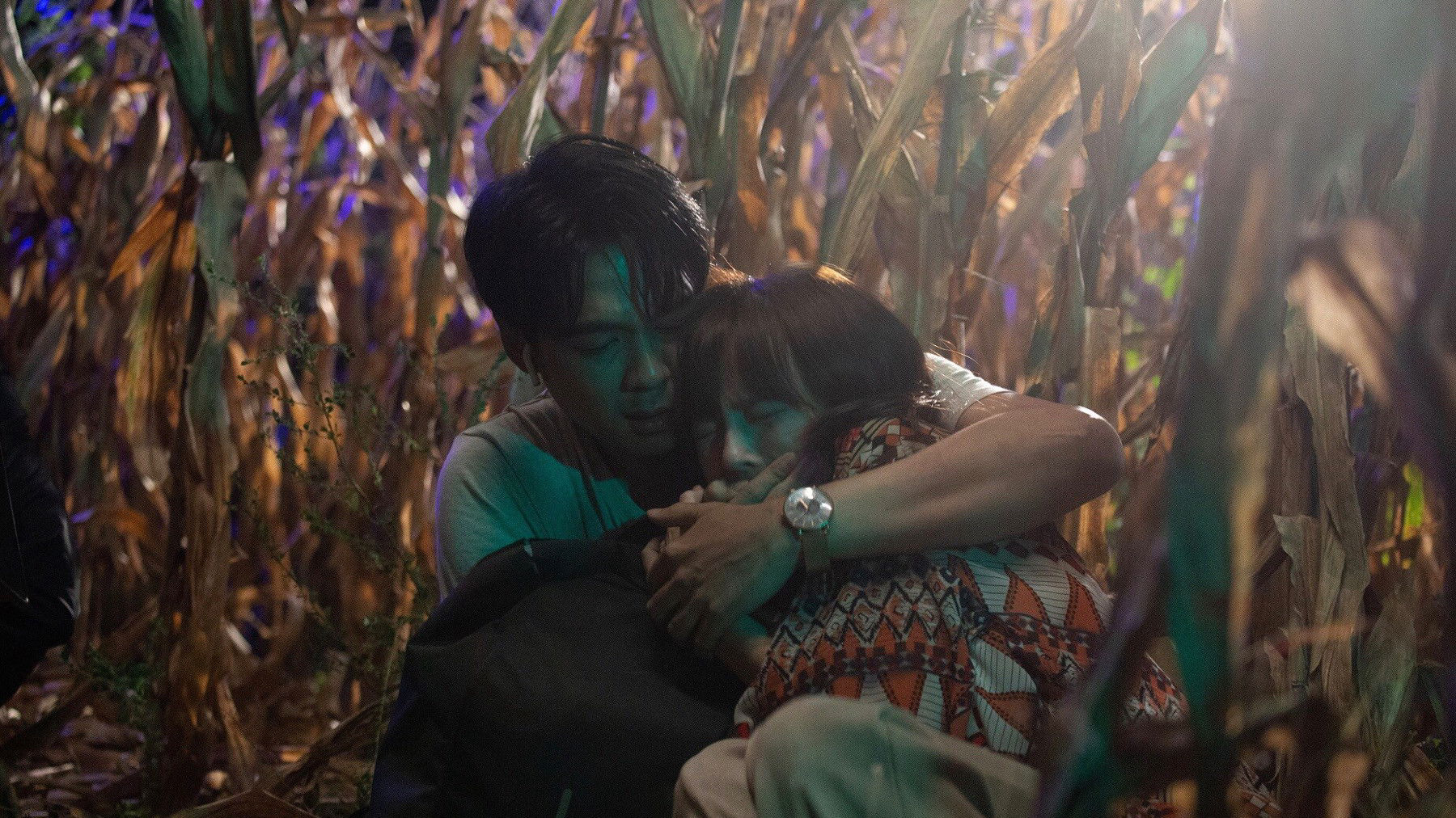 Xem Phim Yêu Không Sợ Hãi, Fearless Love 2022 Xem Phim Yêu Không Sợ Hãi, Fearless Love 2022