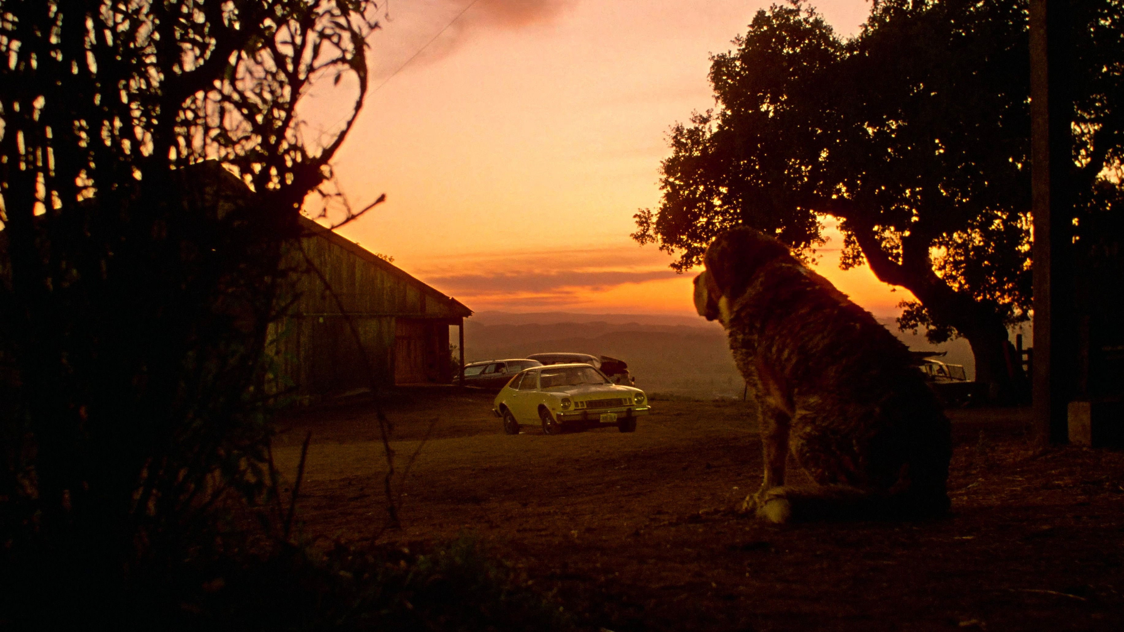 Cujo / Cujo (1983)