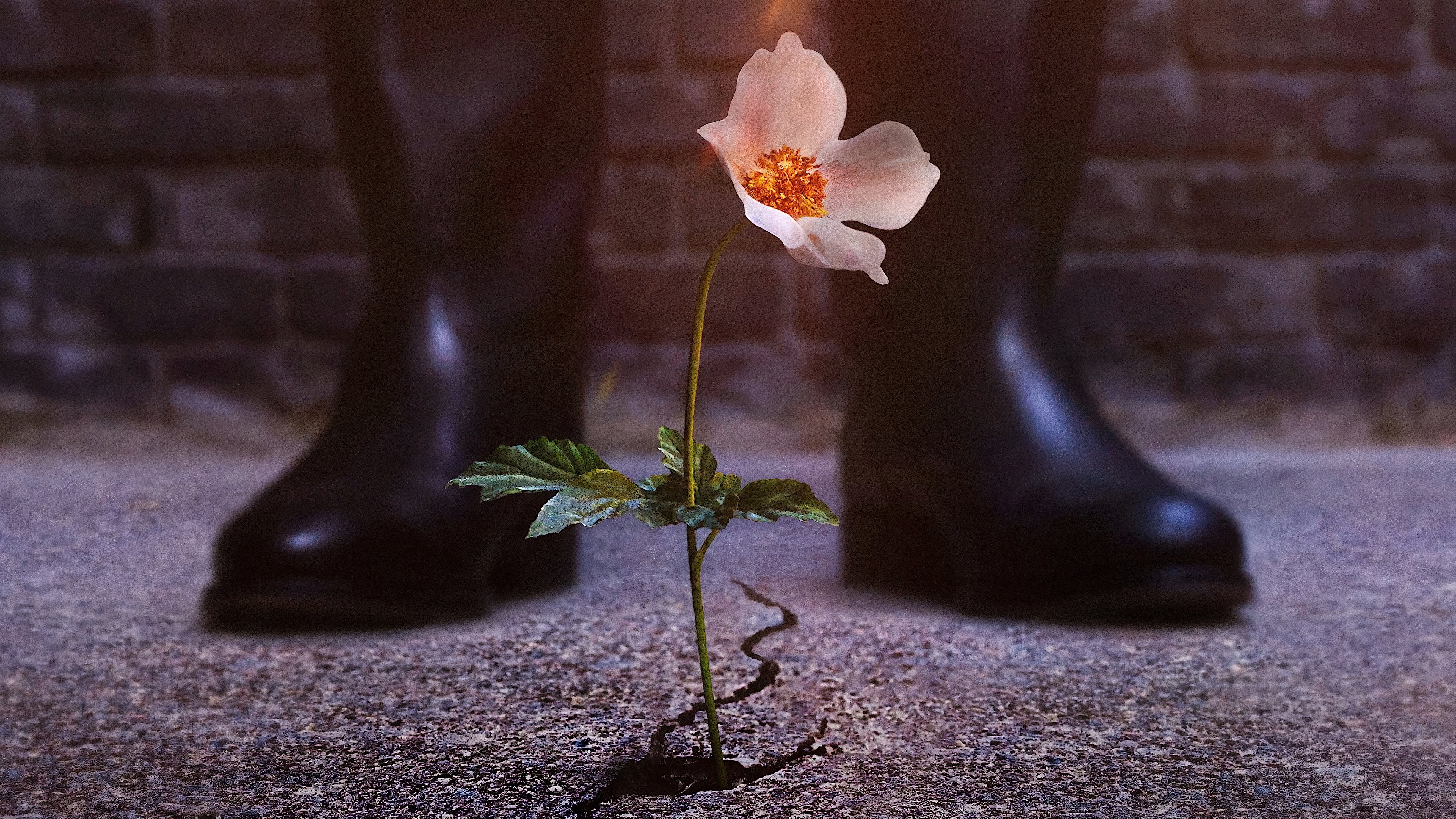 The Man in the High Castle (Season 3) / The Man in the High Castle (Season 3) (2018)