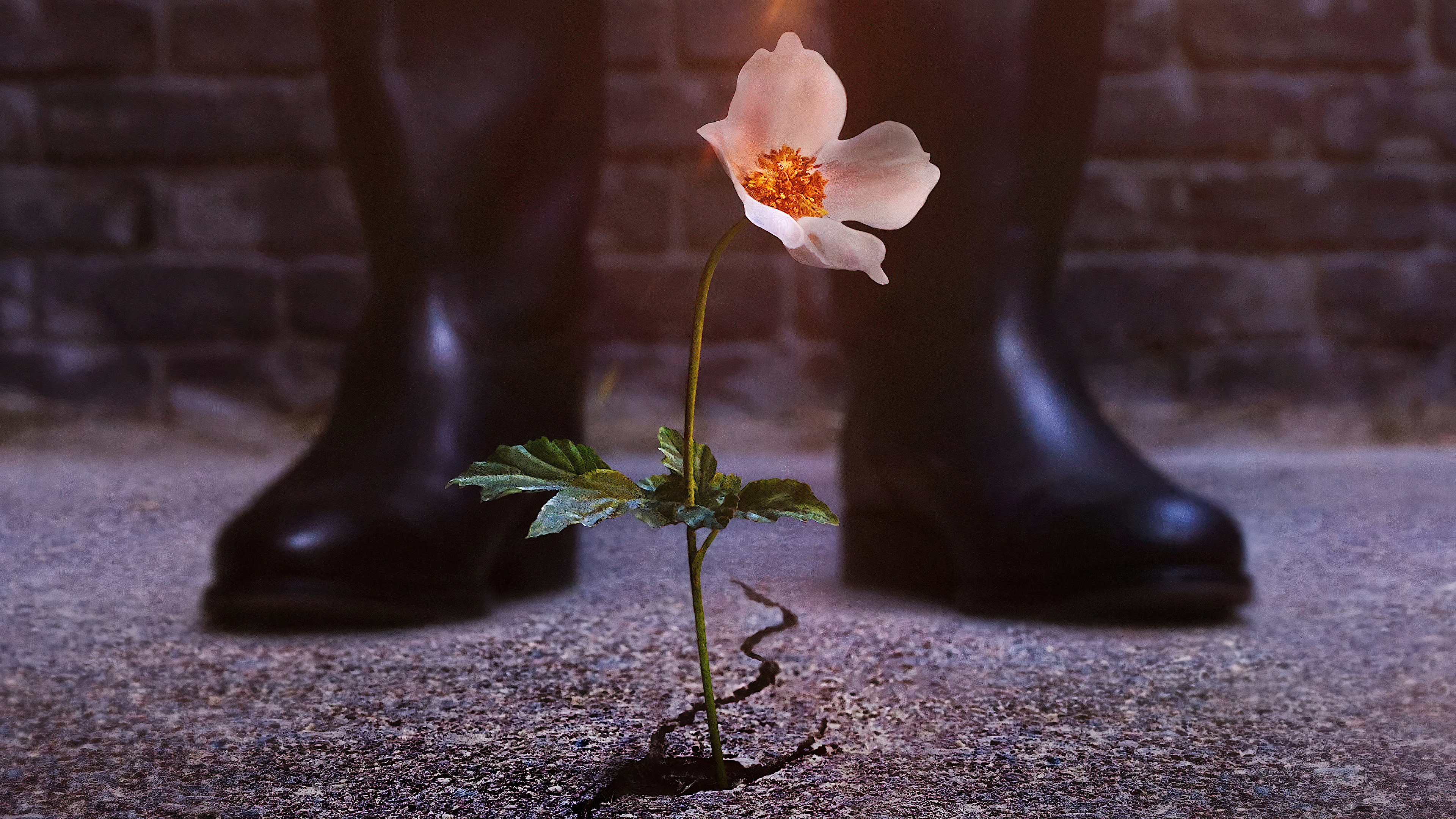 The Man in the High Castle (Season 4) / The Man in the High Castle (Season 4) (2019)