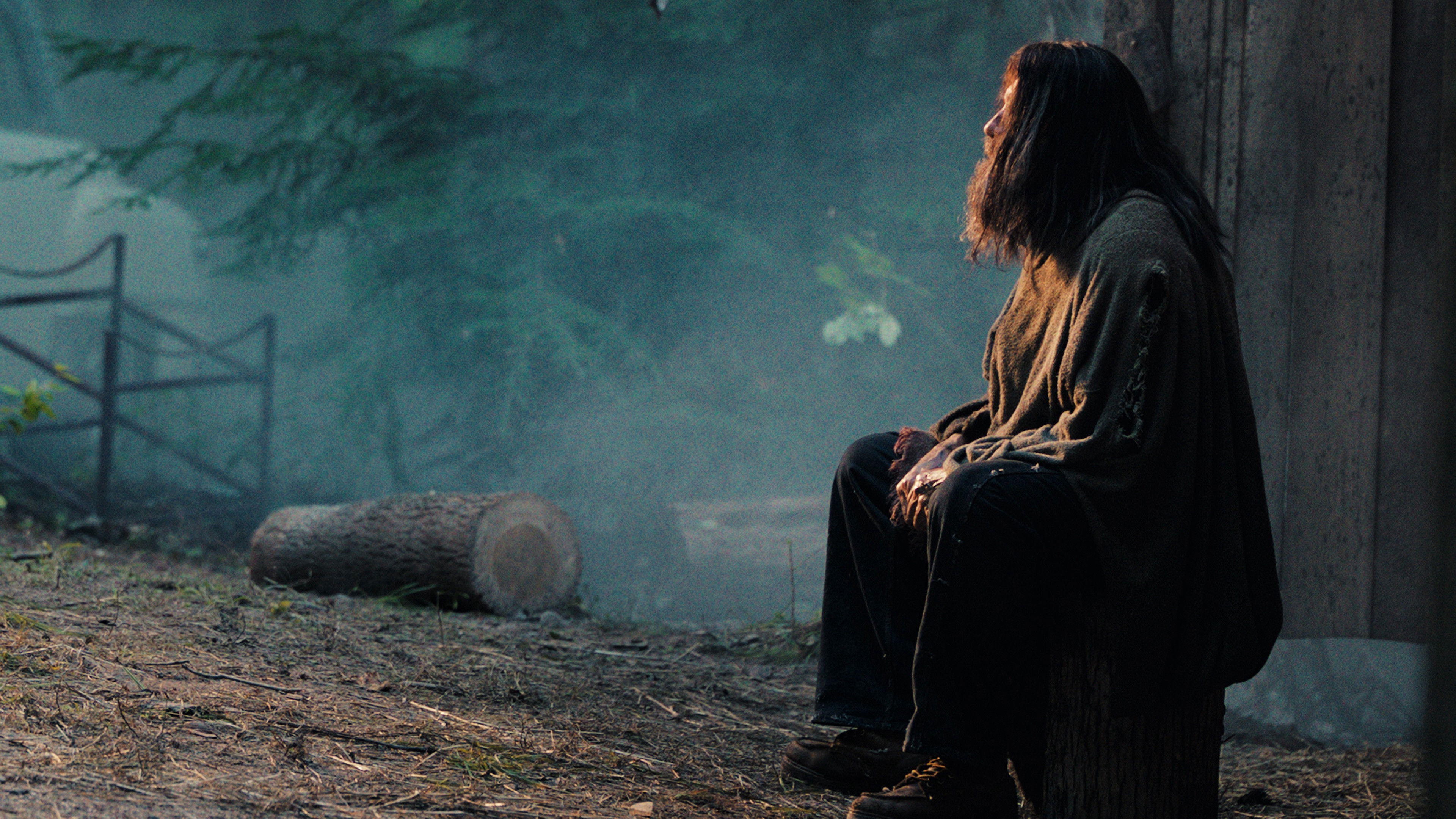 The Hermit / The Hermit (2025)