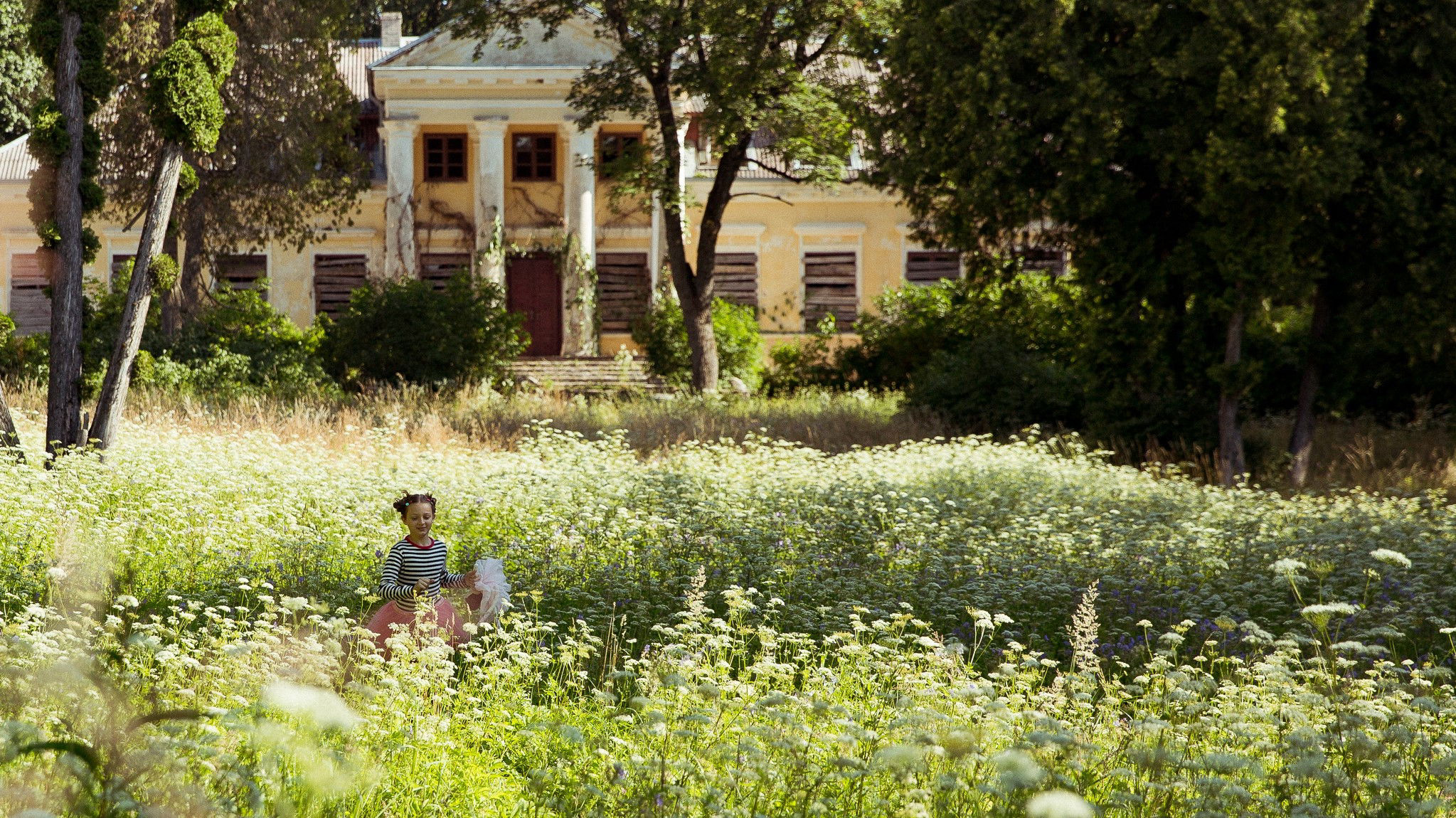 A Butterfly's Heart / A Butterfly's Heart (2022)