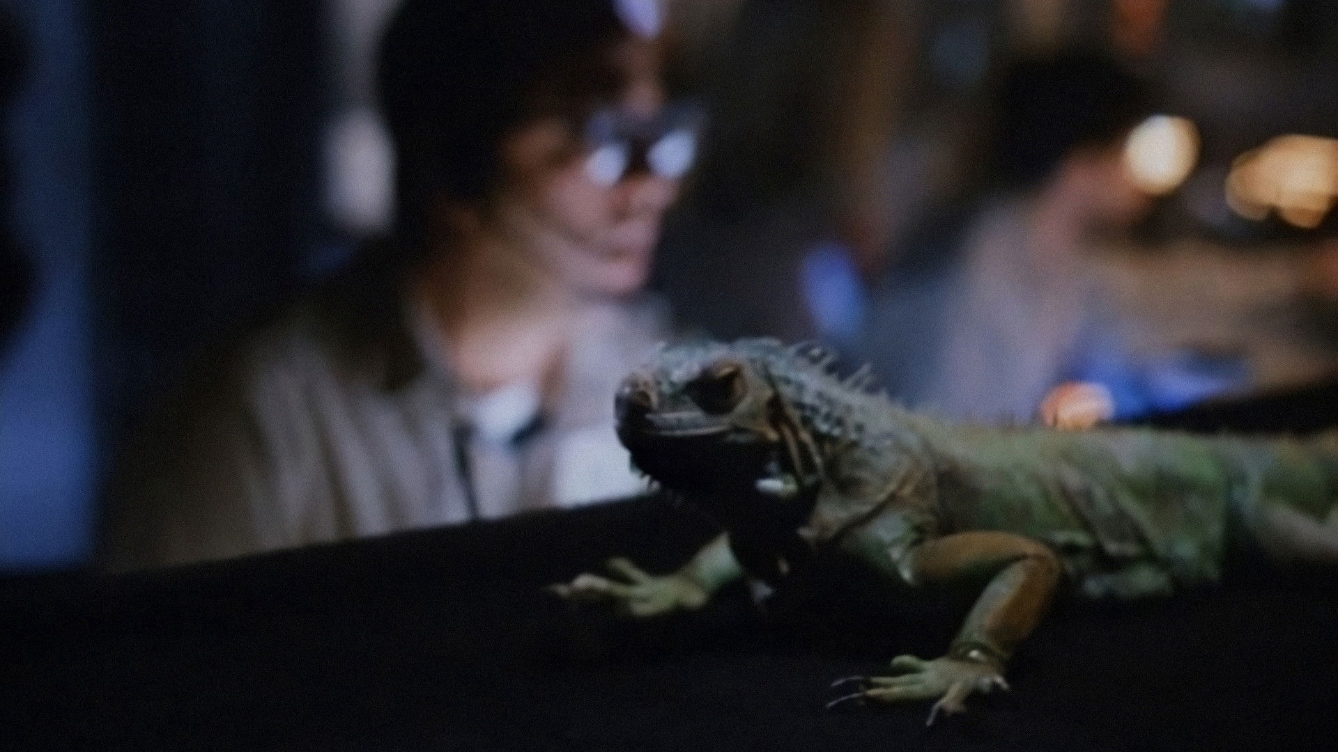 Xem Phim Khủng long ăn thịt 2, Carnosaur 2 1995 Xem Phim Khủng long ăn thịt 2, Carnosaur 2 1995