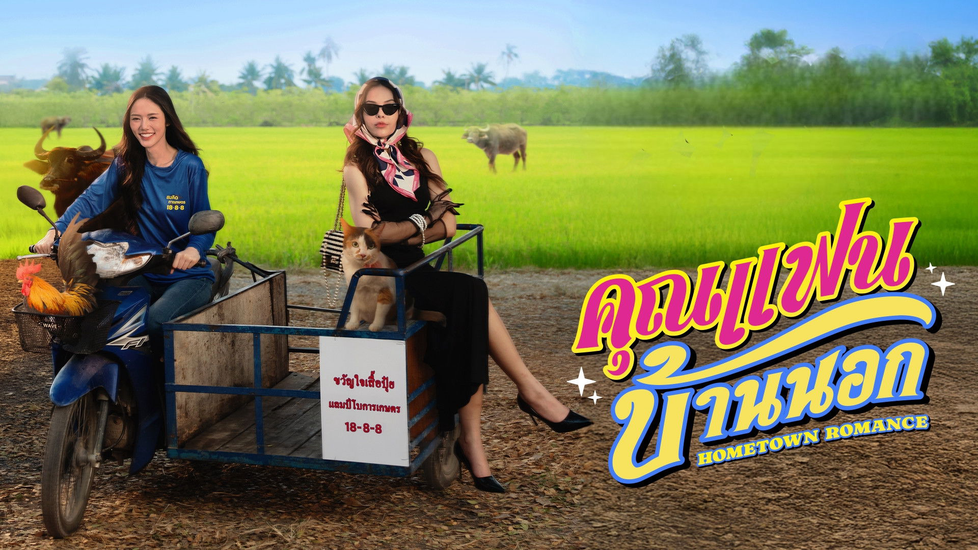 Hometown Romance / Hometown Romance (2026)