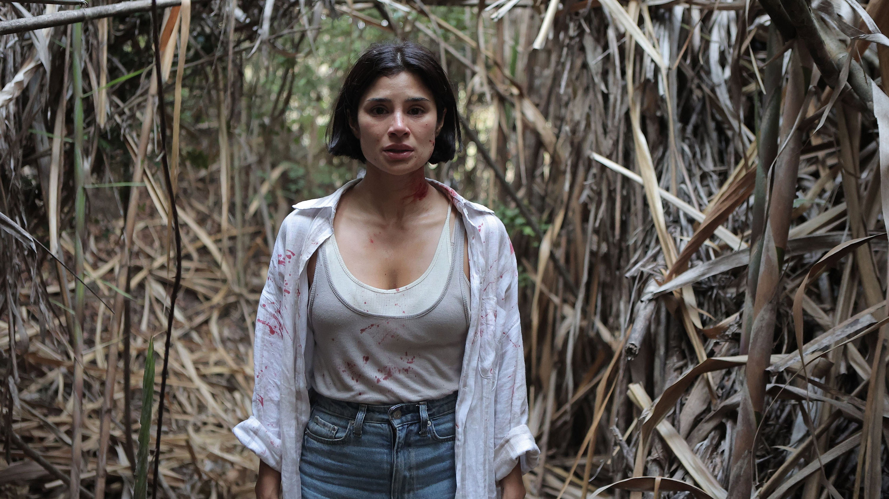 The Whistler / The Whistler (2026)