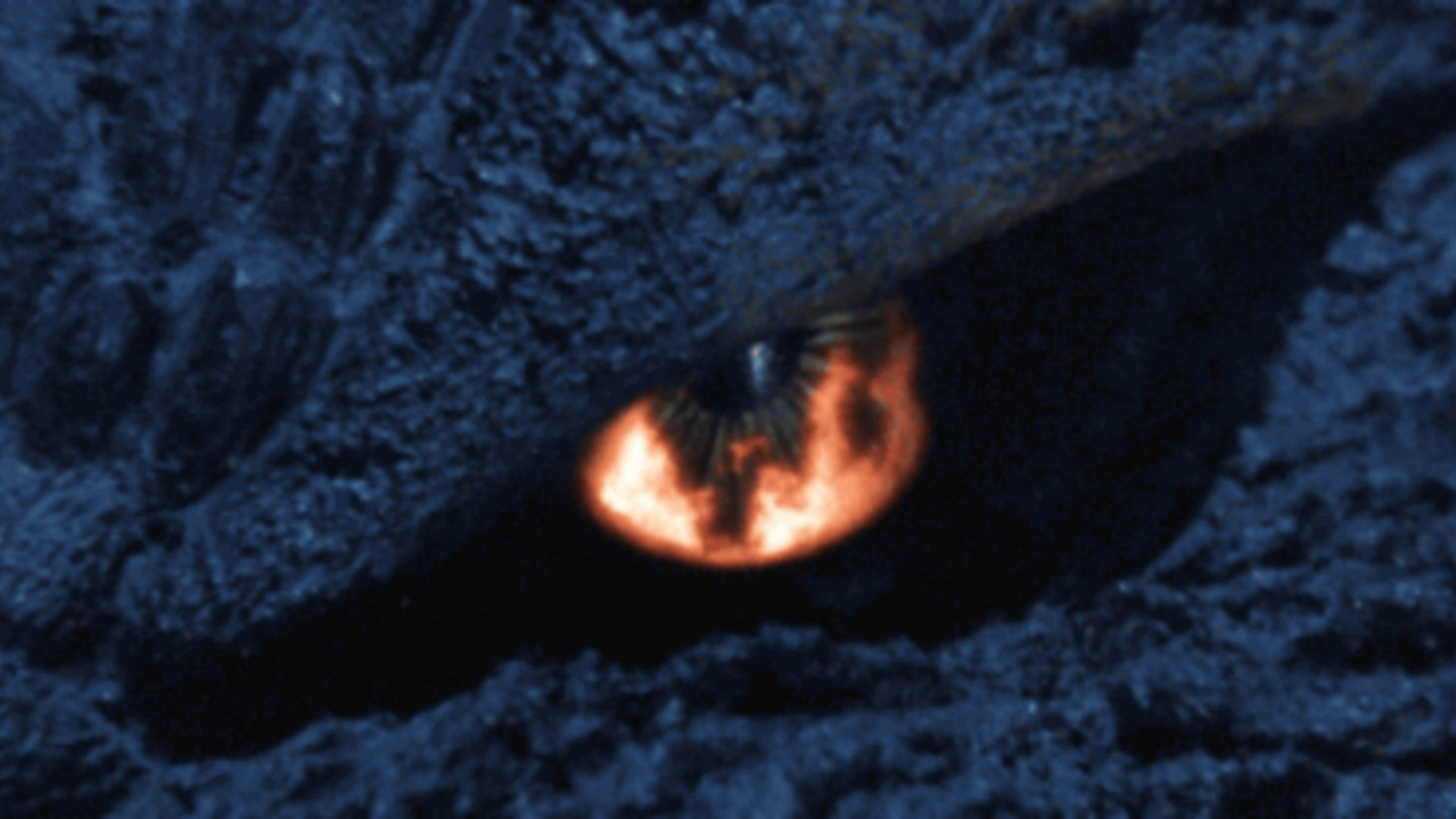 Godzilla: Final Wars / Godzilla: Final Wars (2004)