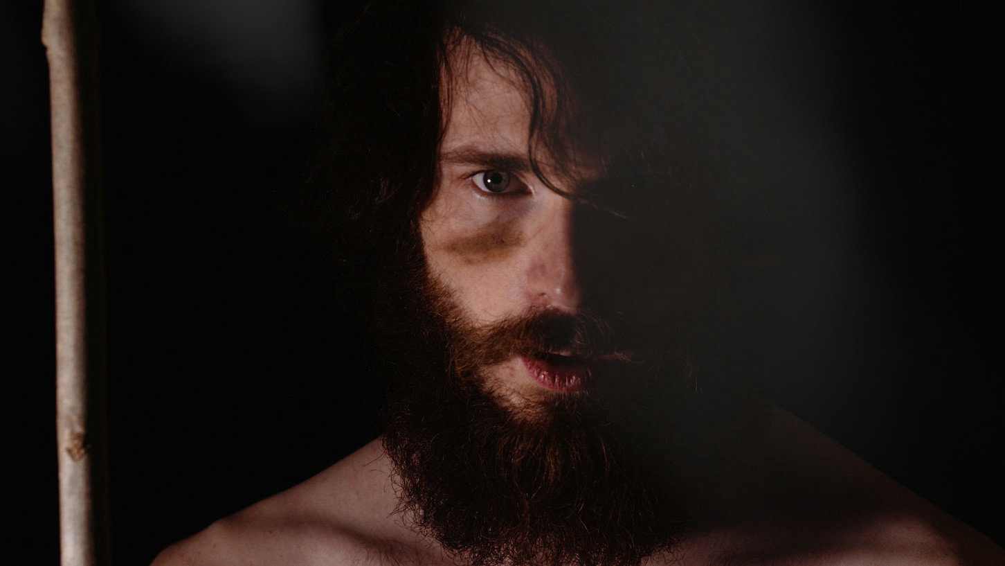 Dogwood / Dogwood (2021)