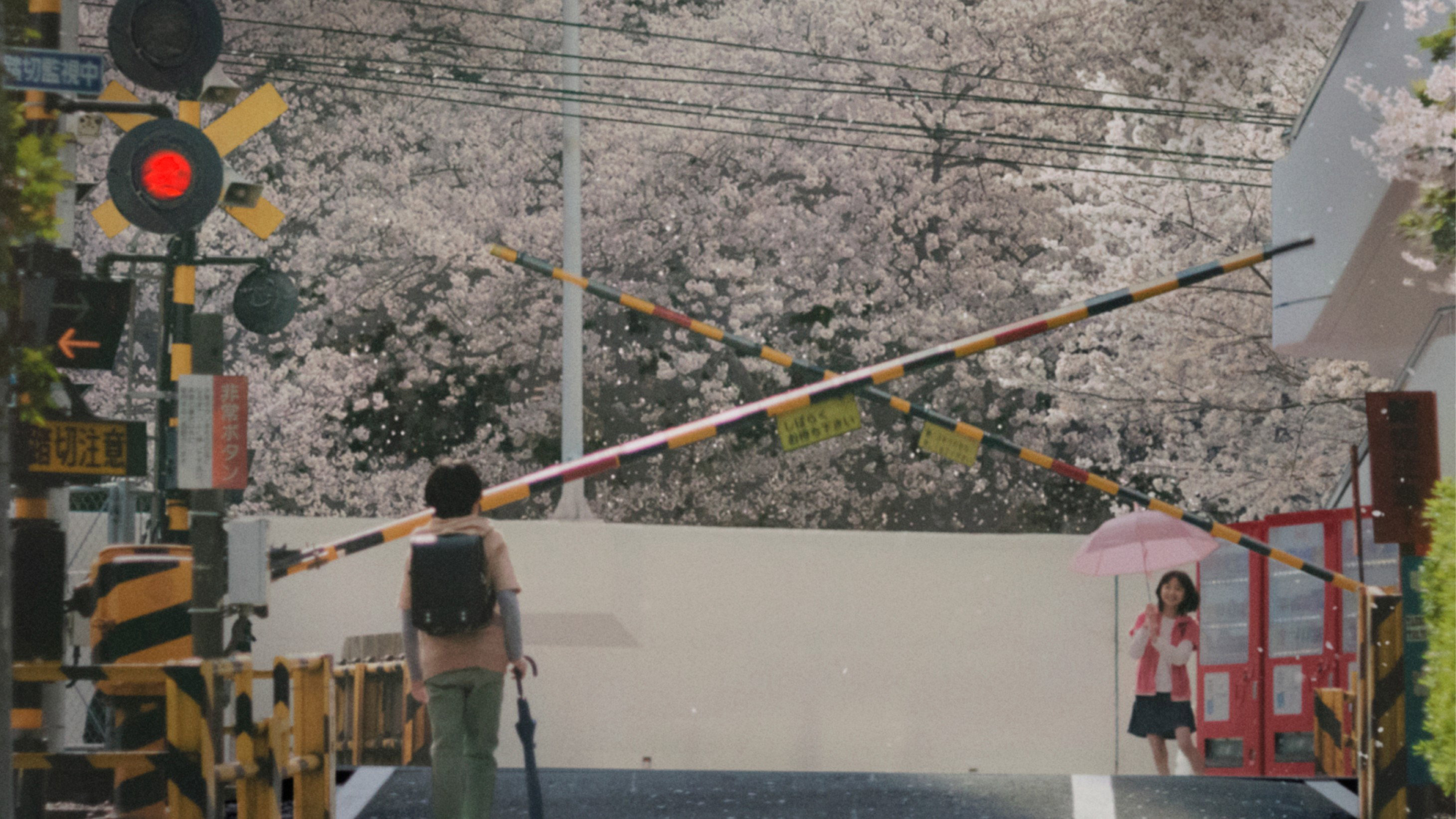 5 Centimeters per Second / 5 Centimeters per Second (2025)