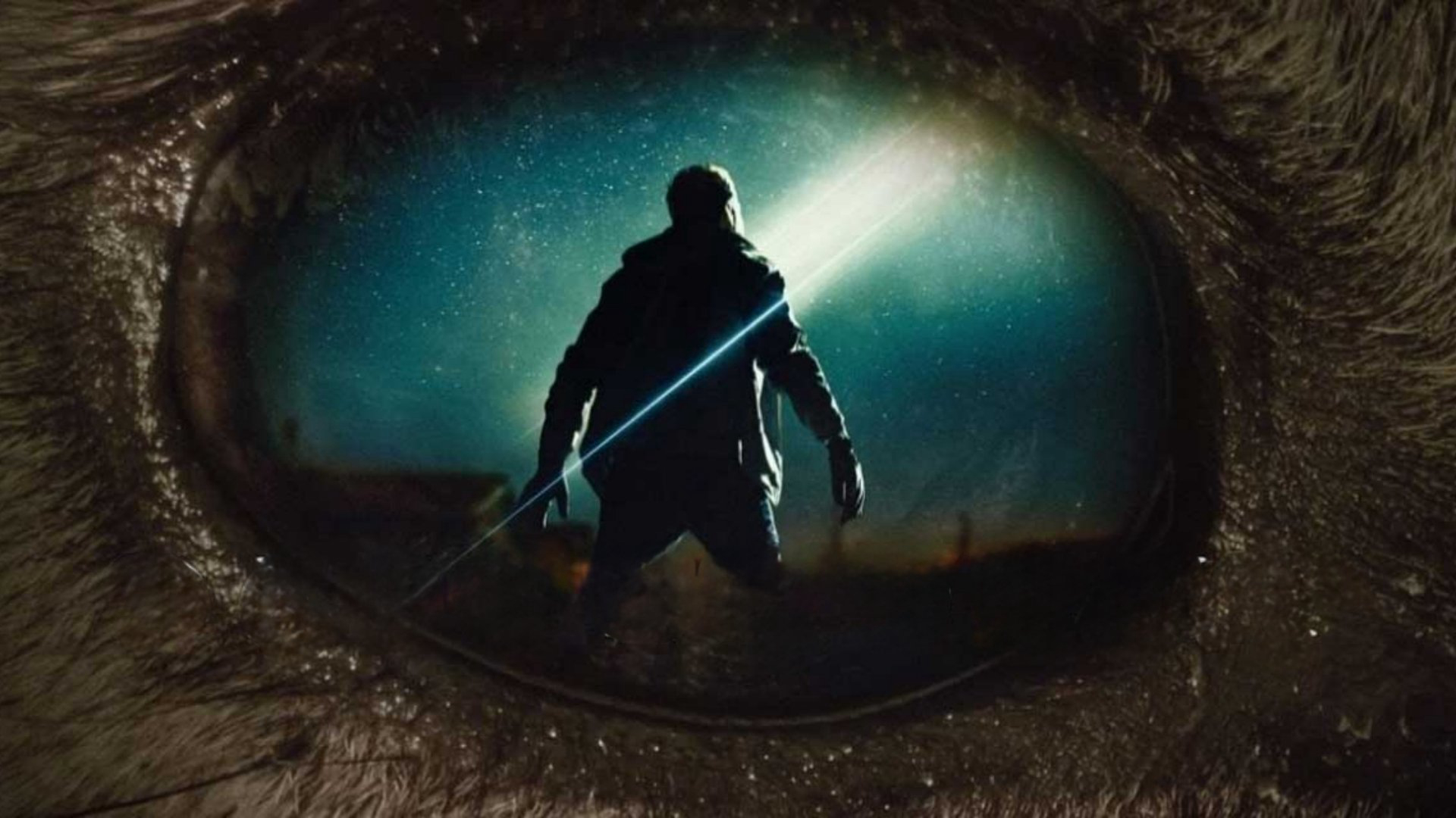 Descendent / Descendent (2025)