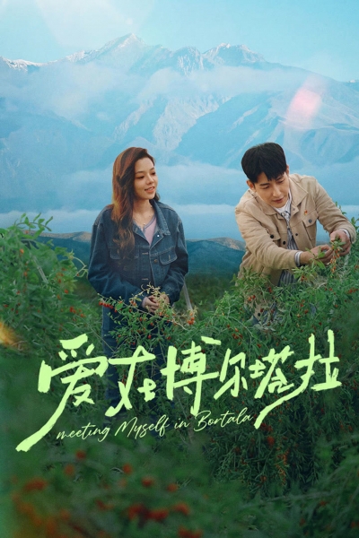 Tình Yêu Ở Bortala