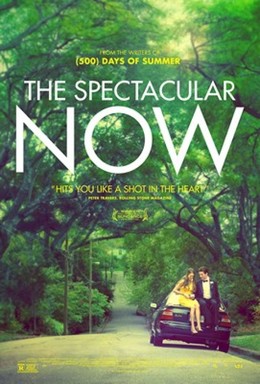 Thực Tại Hoàn Mỹ, The Spectacular Now (2013)