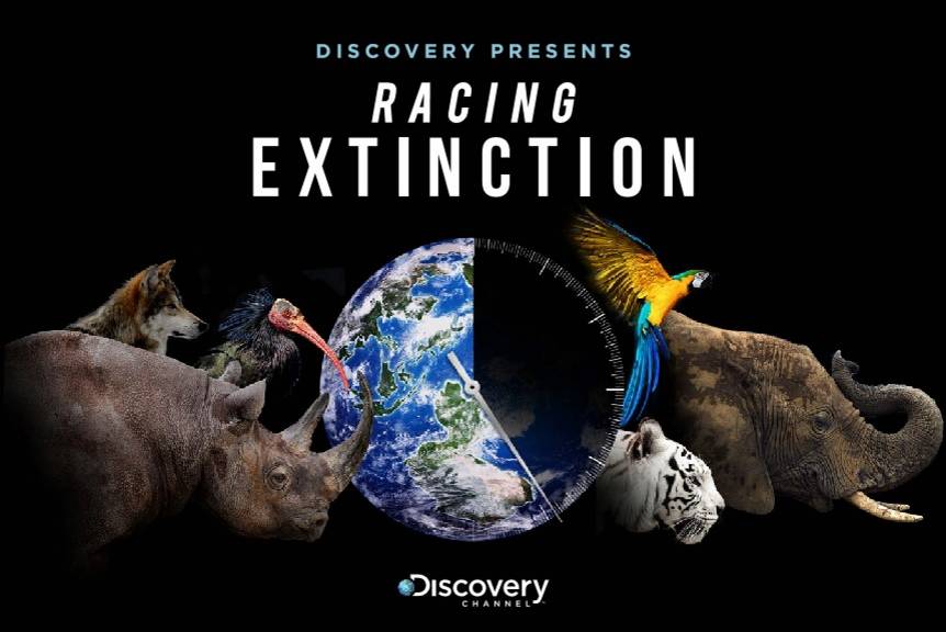 Xem Phim Cuộc Đua Tuyệt Chủng, Racing Extinction 2015