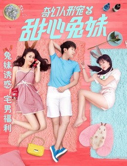 Sáu Nàng Thỏ Xinh Đẹp, Sweet Bunny Girls of Petman (2017)