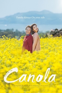 Hoa Cải Vàng, Canola (2016)