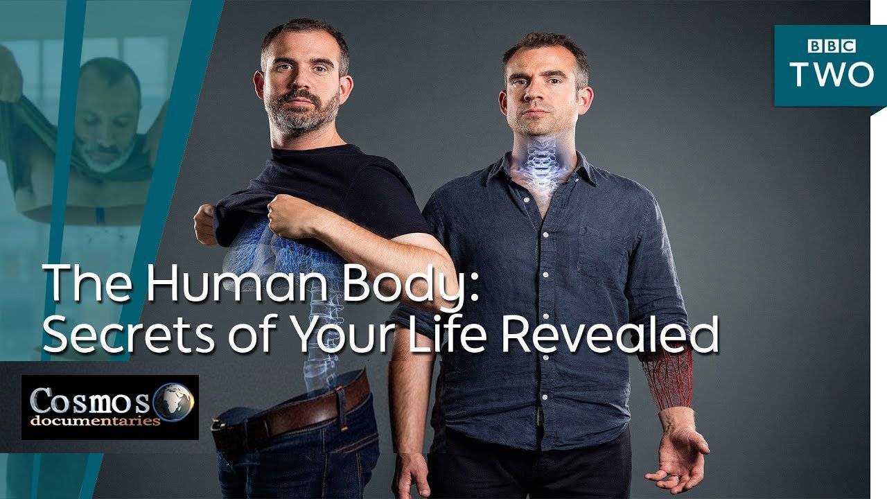 The Human Body Secrets of Your Life Revealed (2017)