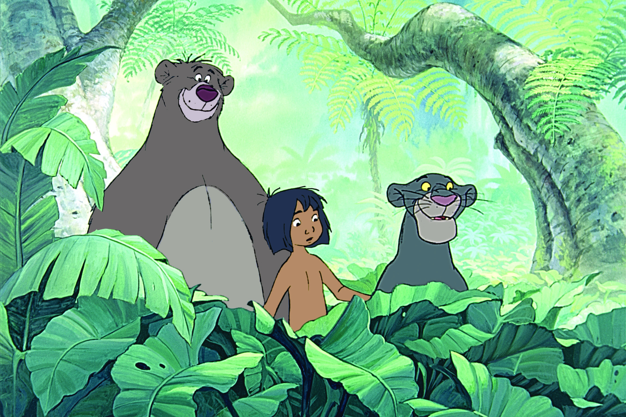 Xem Phim Cậu Bé Rừng Xanh 1, The Jungle Book 1 1967 Xem Phim Cậu Bé Rừng Xanh 1, The Jungle Book 1 1967