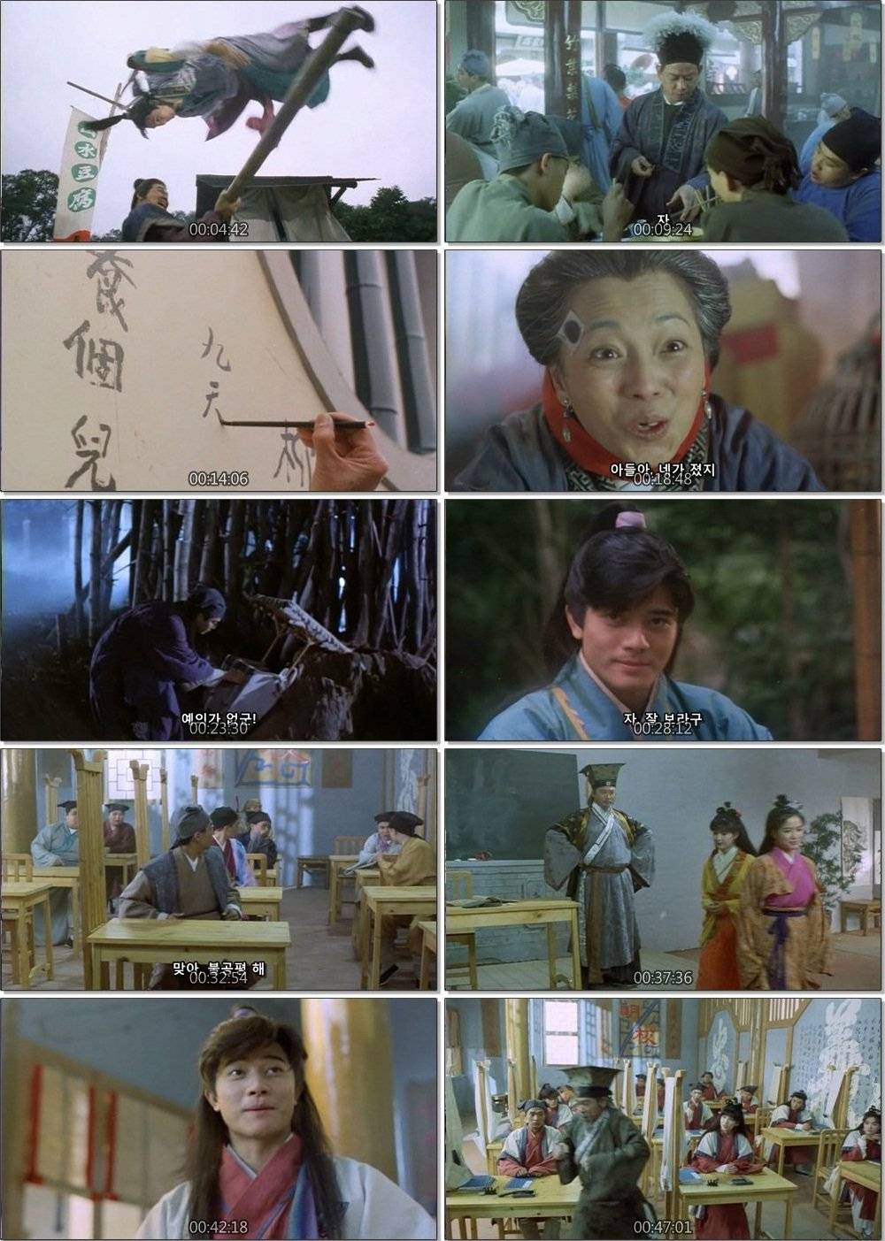 The Kung Fu Scholar (1993)