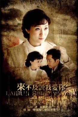 Không Kịp Nói Yêu Em, Too Late To Say I Love You (2010)