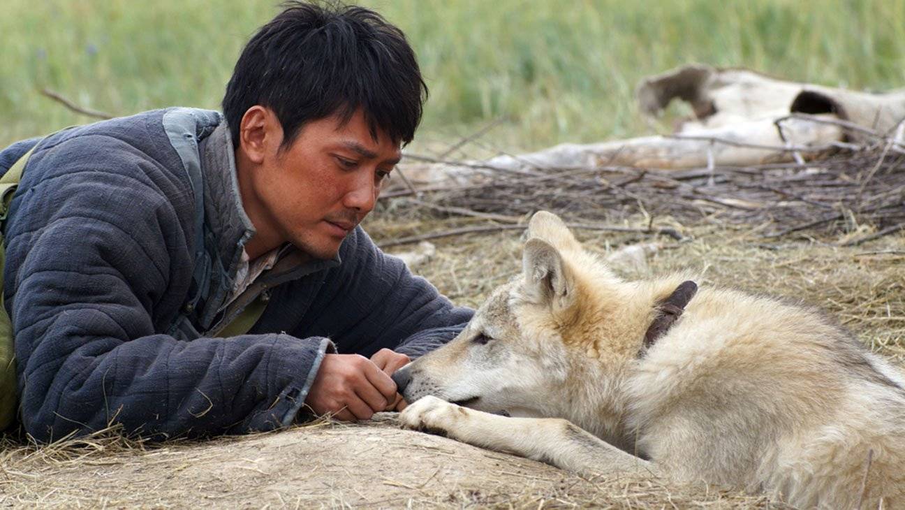 Wolf Totem (2015)