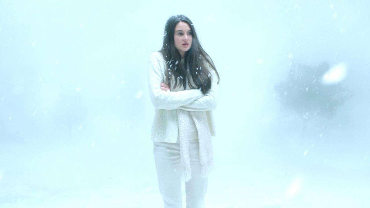 Xem Phim Chim Trắng Trong Bão Tuyết, White Bird in a Blizzard 2014