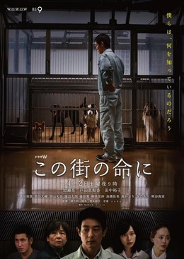 Cuộc Sống Của Thị Trấn, Kono Machi No Inochi Ni (2016)