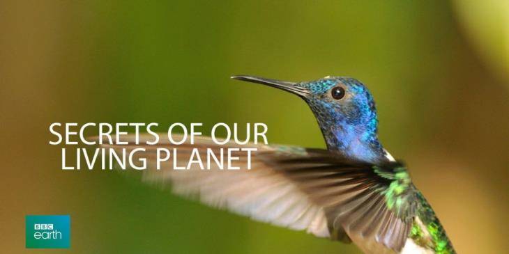 Xem Phim Thiên Nhiên Vận Hành Như Thế Nào, Secrets of Our Living Planet 2012