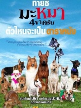 Những Chú Chó Bất Hạnh, Mid Road Gang (2007)