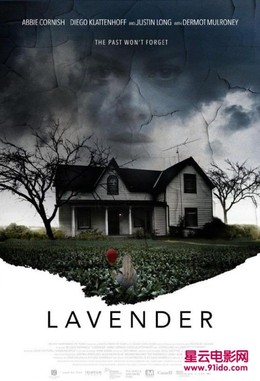 Lavender, Lavender (2017)