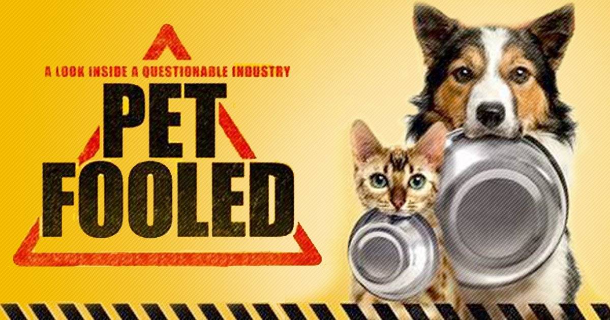 Xem Phim Thú Cưng Đang Ăn Gì?, Pet Fooled 2016