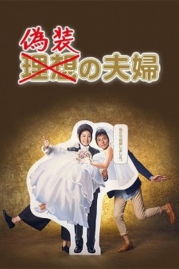 Vợ Chồng Ngụy Trang, Fake Couple (2015)