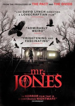 Mr. Jones (2013)