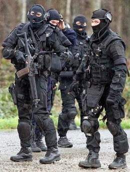 Lực Lượng Đặc Cảnh, SWAT (2015)