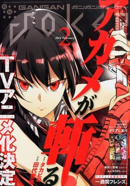 Sát Thủ Akame, Akame ga Kill! (2014)