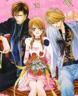 Skip Beat (2008)