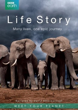 Life Story / Life Story (2014)